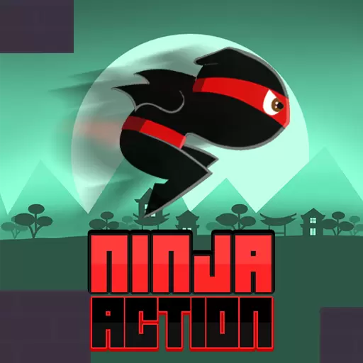 Ninja Action